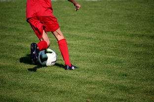 爱游戏体育入口-体育新闻中心构建体育赛事全媒体传播体系,体育赛事的媒体宣传需要向媒体经营单位直接支付费用