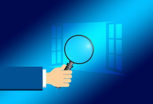 爱游戏ayx-青少年运动素养测评系统开始试点运行，青少年素质训练