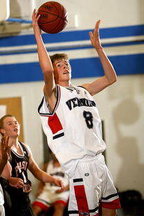 爱游戏app下载-中国篮球青年运动员职业化早期介入与支持体系,当前中国篮球运动推进职业化